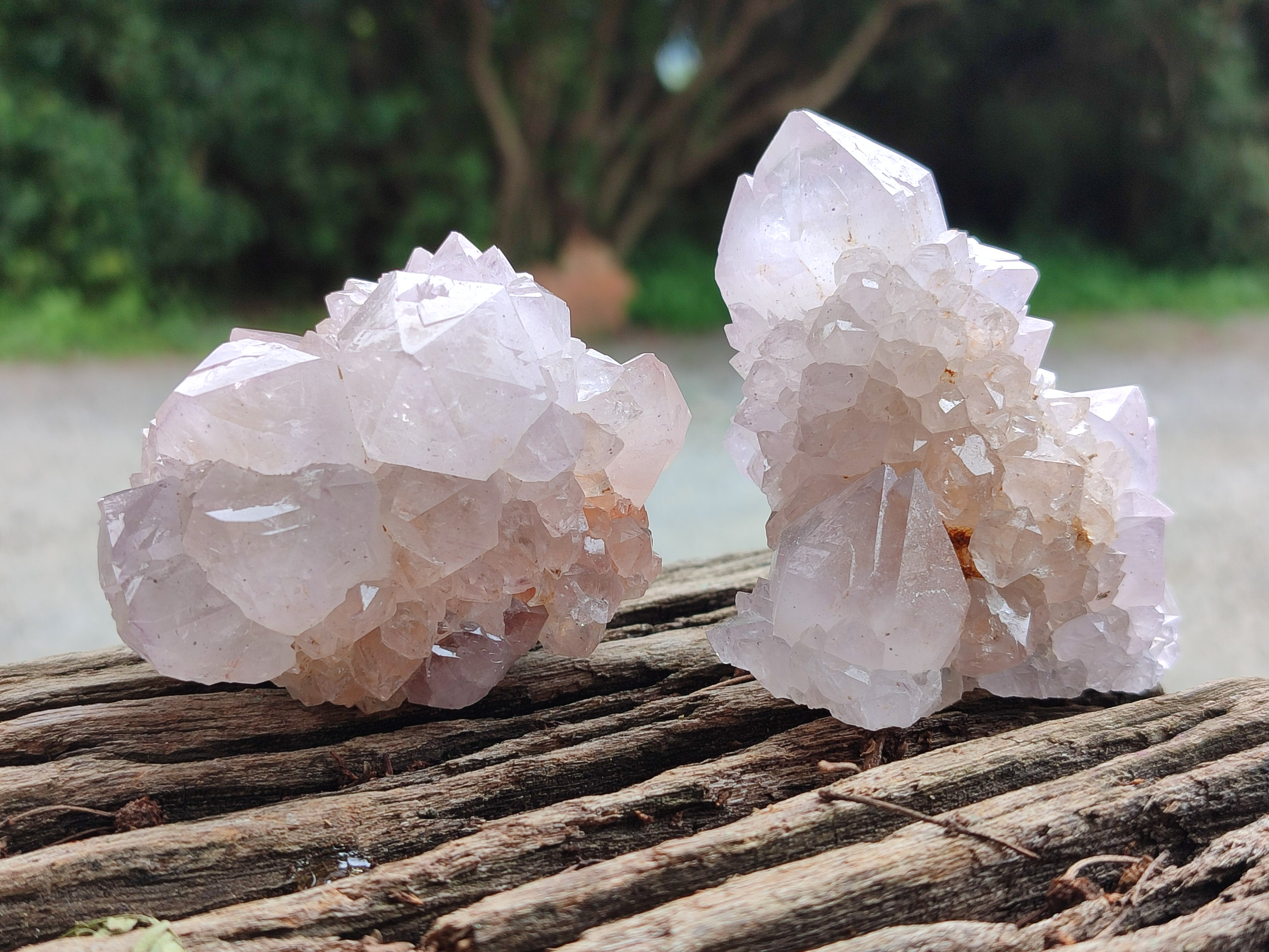 Natural Spirit Quartz Clusters x 6 From Boekenhouthoek, South Africa - Toprock Gemstones and Minerals 