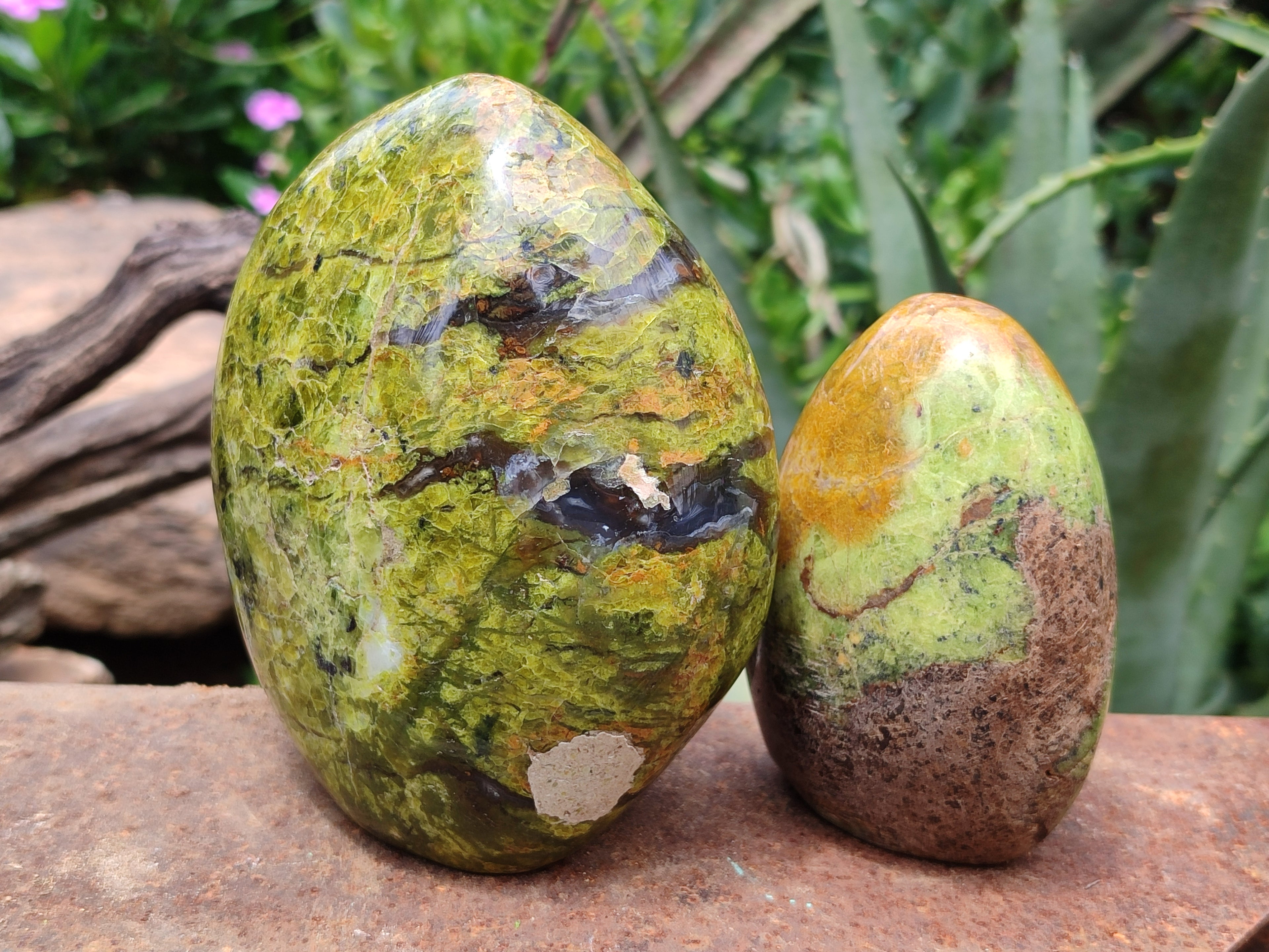 Polished Green Opal Standing Free Forms x 2 From Antsirabe, Madagascar - Toprock Gemstones and Minerals 