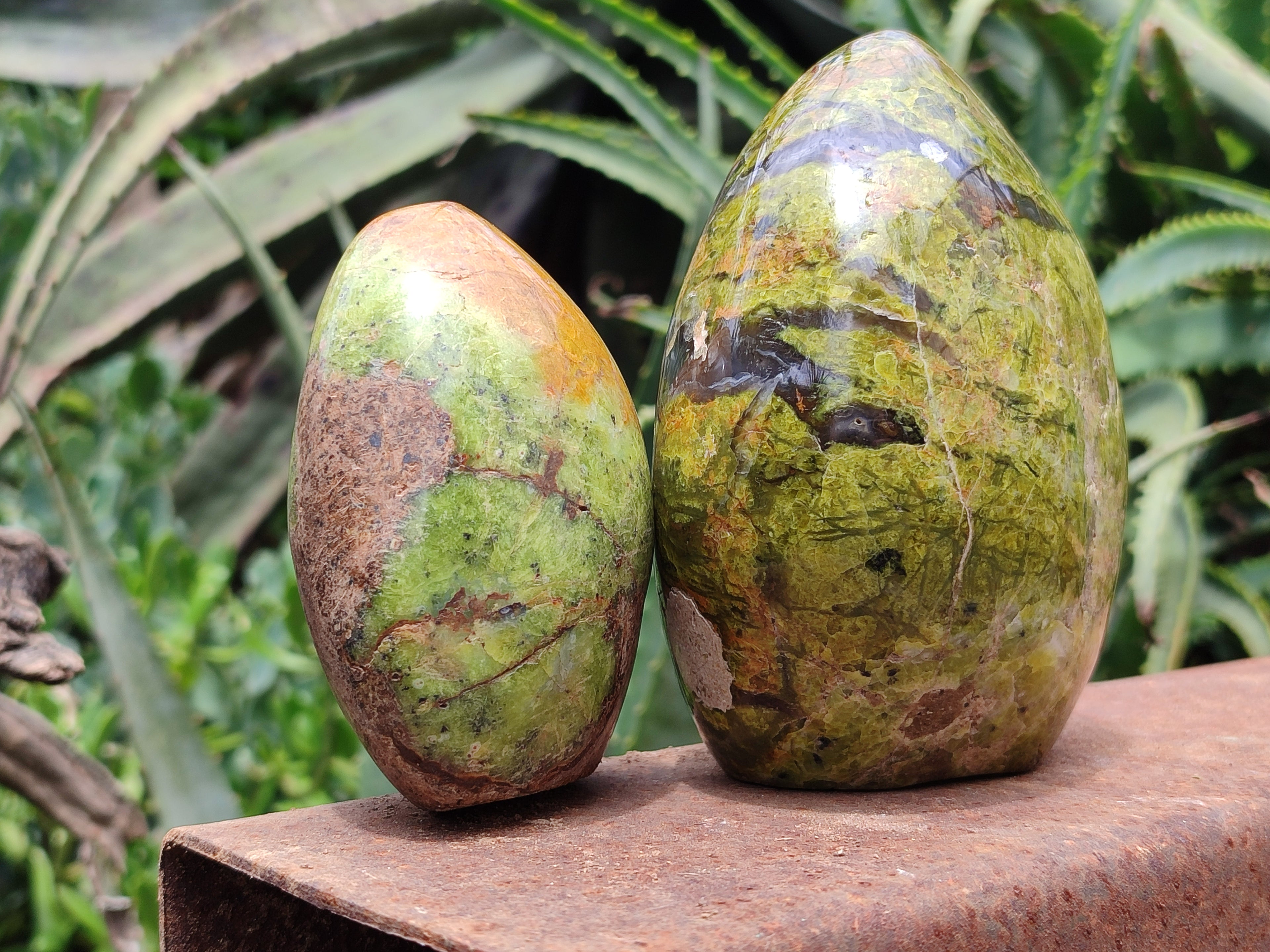 Polished Green Opal Standing Free Forms x 2 From Antsirabe, Madagascar - Toprock Gemstones and Minerals 