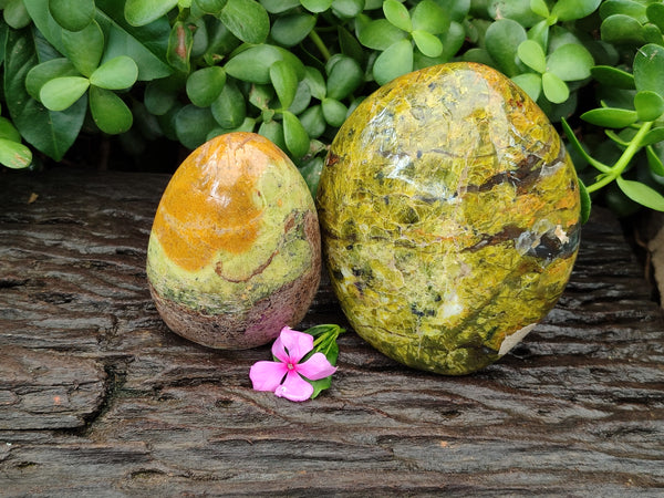Polished Green Opal Standing Free Forms x 2 From Antsirabe, Madagascar - Toprock Gemstones and Minerals 
