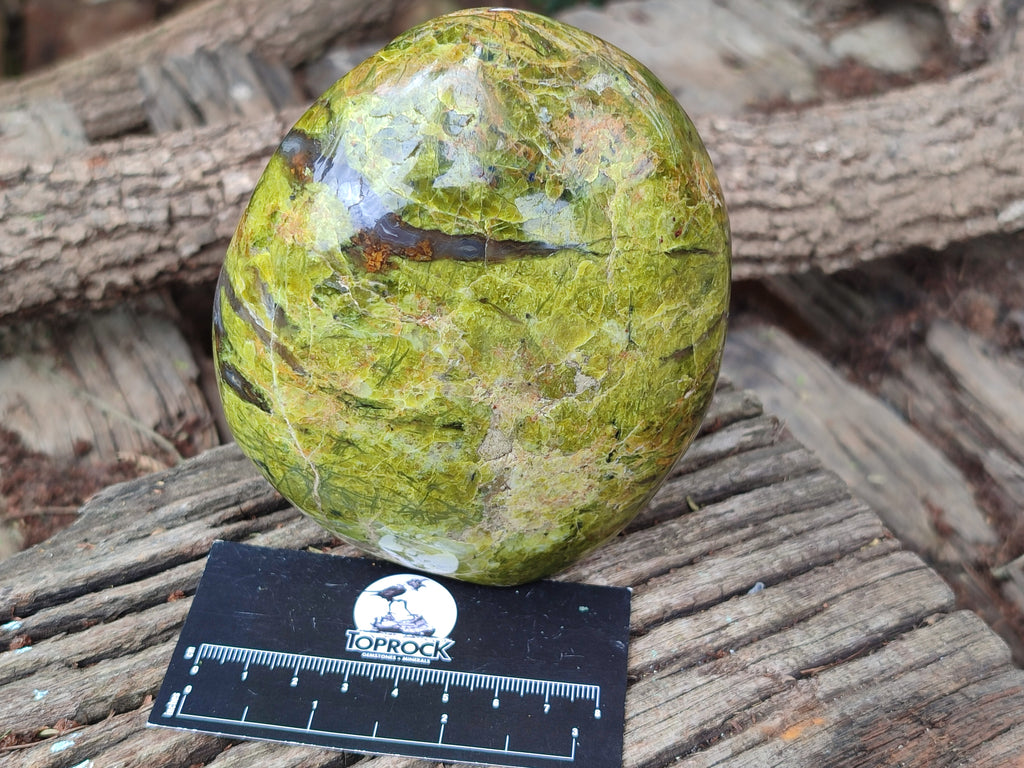 Polished Green Opal Standing Free Forms x 2 From Antsirabe, Madagascar - Toprock Gemstones and Minerals 