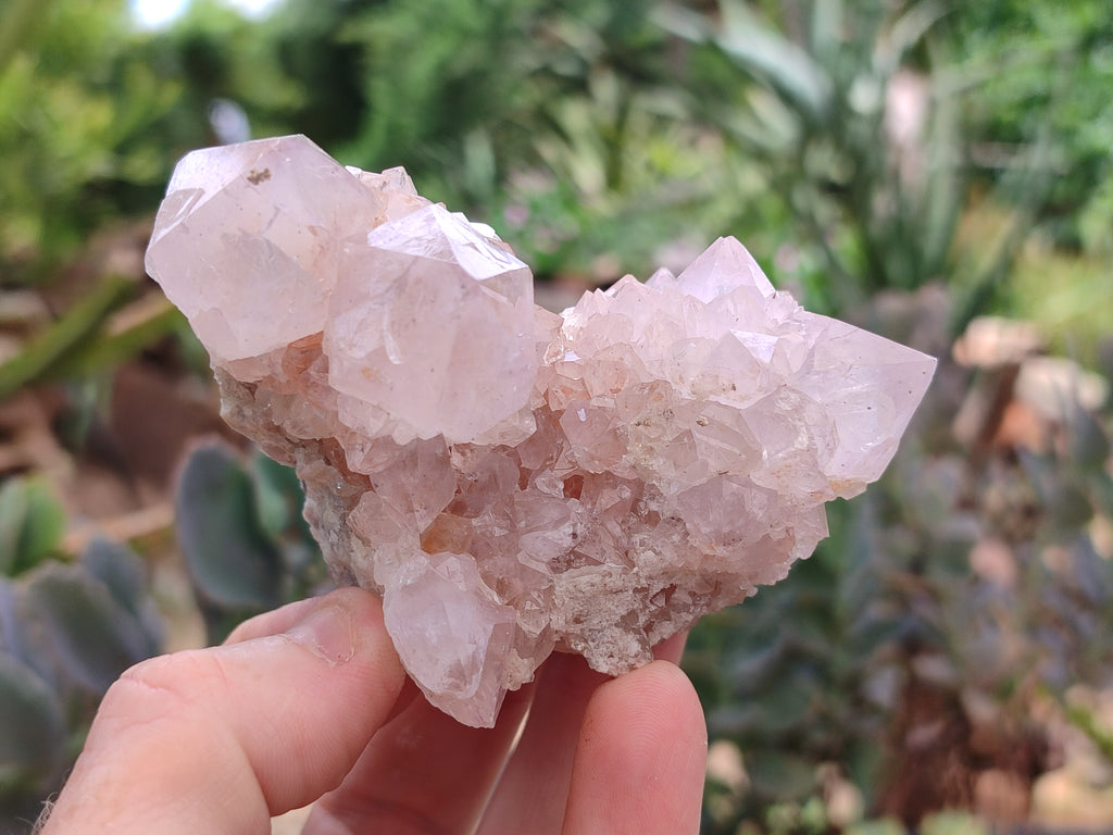 Natural Amethyst Spirit Quartz Clusters x 6 From Boekenhouthoek, South Africa - Toprock Gemstones and Minerals 
