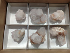 Natural Amethyst Spirit Quartz Clusters x 6 From Boekenhouthoek, South Africa - Toprock Gemstones and Minerals 
