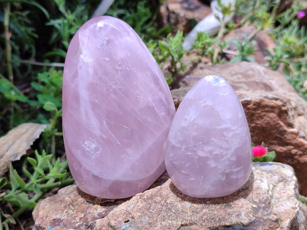 Polished Rose Quartz Standing Free Forms x 4 From Ambatondrazaka, Madagascar - Toprock Gemstones and Minerals 