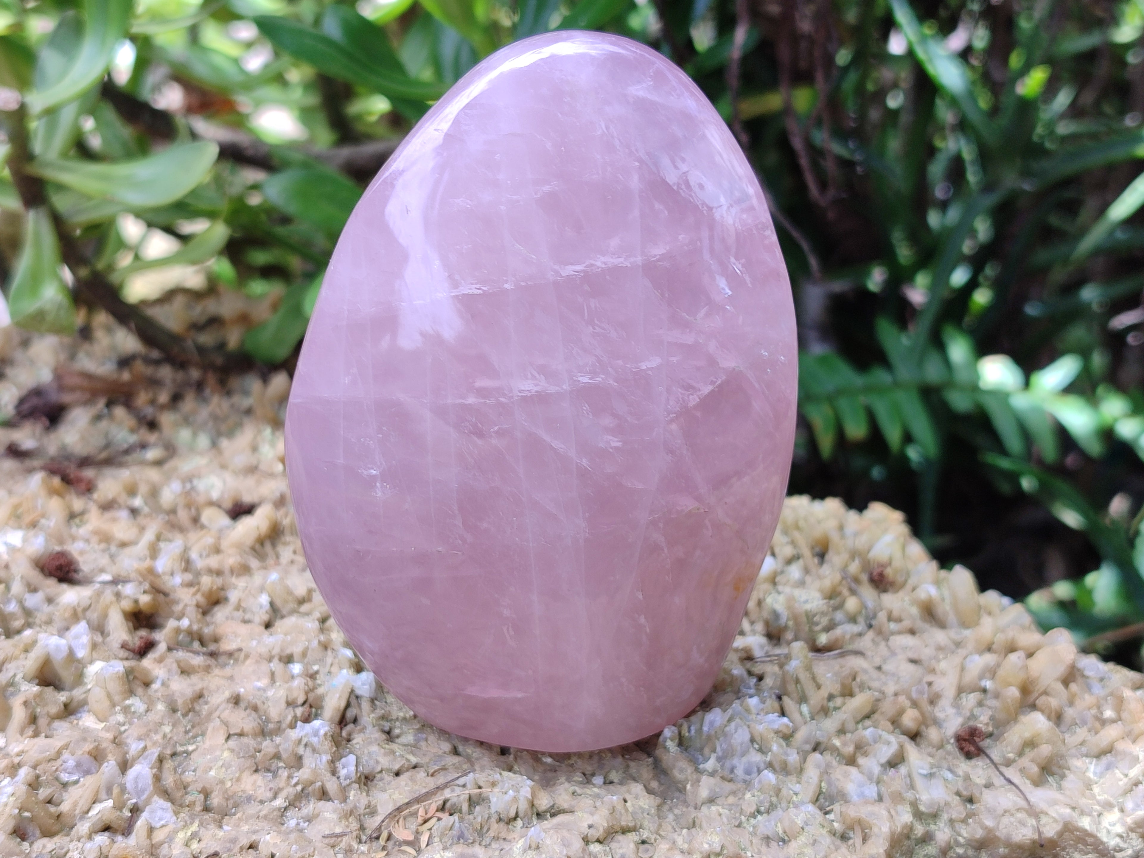Polished Rose Quartz Standing Free Forms x 4 From Ambatondrazaka, Madagascar - Toprock Gemstones and Minerals 