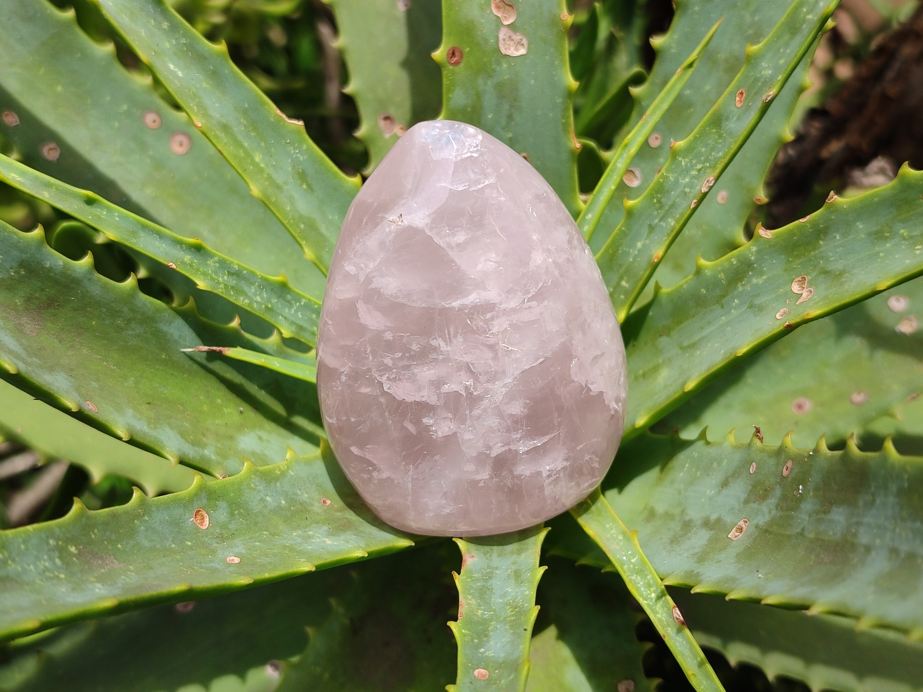Polished Rose Quartz Standing Free Forms x 4 From Ambatondrazaka, Madagascar - Toprock Gemstones and Minerals 