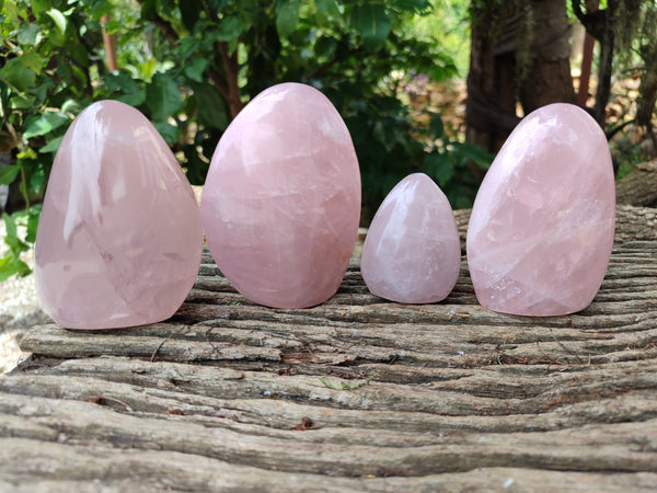 Polished Rose Quartz Standing Free Forms x 4 From Ambatondrazaka, Madagascar - Toprock Gemstones and Minerals 