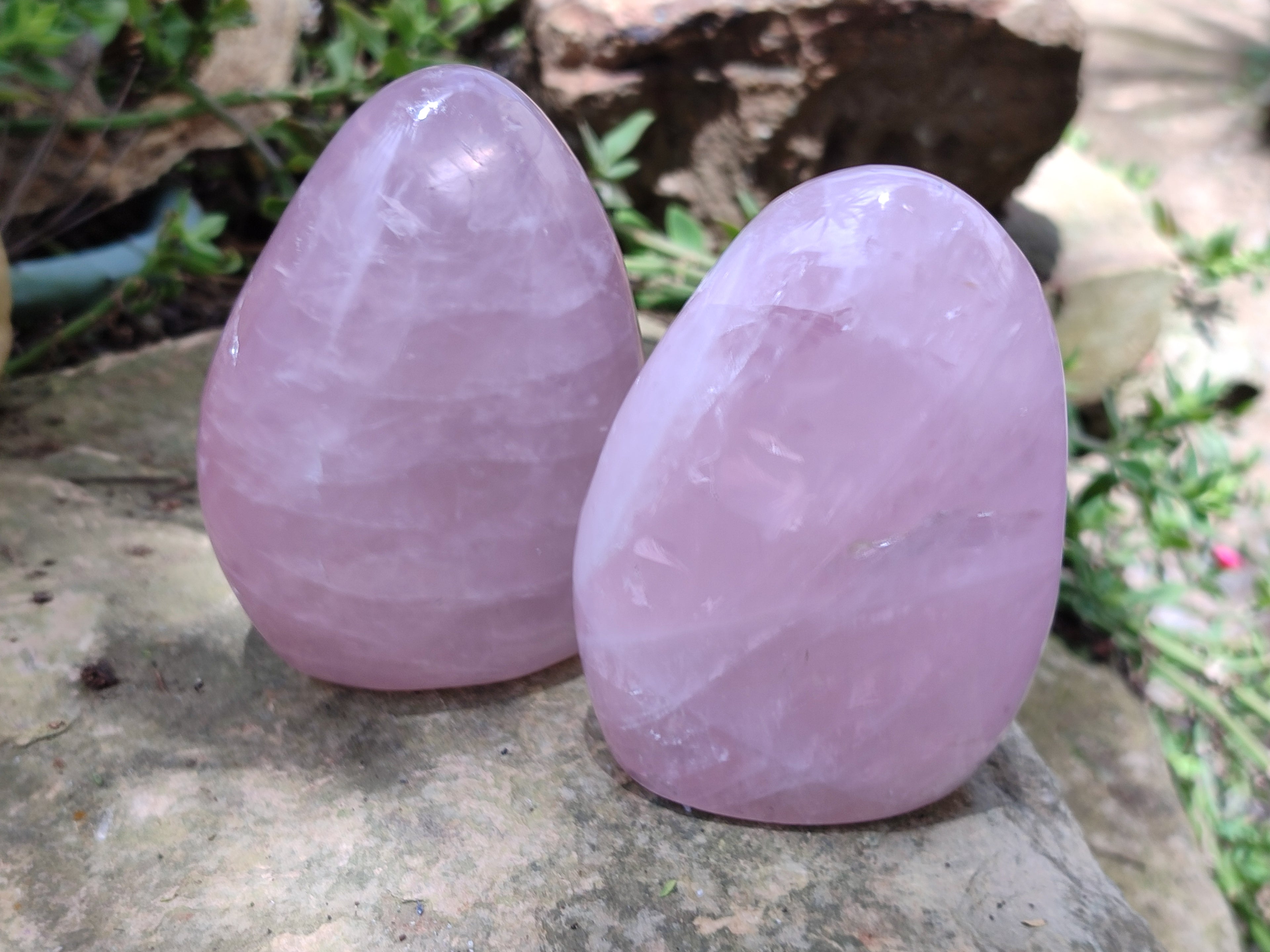 Polished Rose Quartz Standing Free Forms x 4 From Ambatondrazaka, Madagascar - Toprock Gemstones and Minerals 