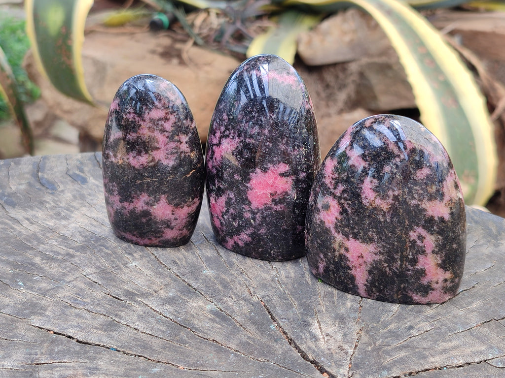 Polished Rhodonite Standing Free Forms x 6 From Ambindavato, Madagascar - Toprock Gemstones and Minerals 