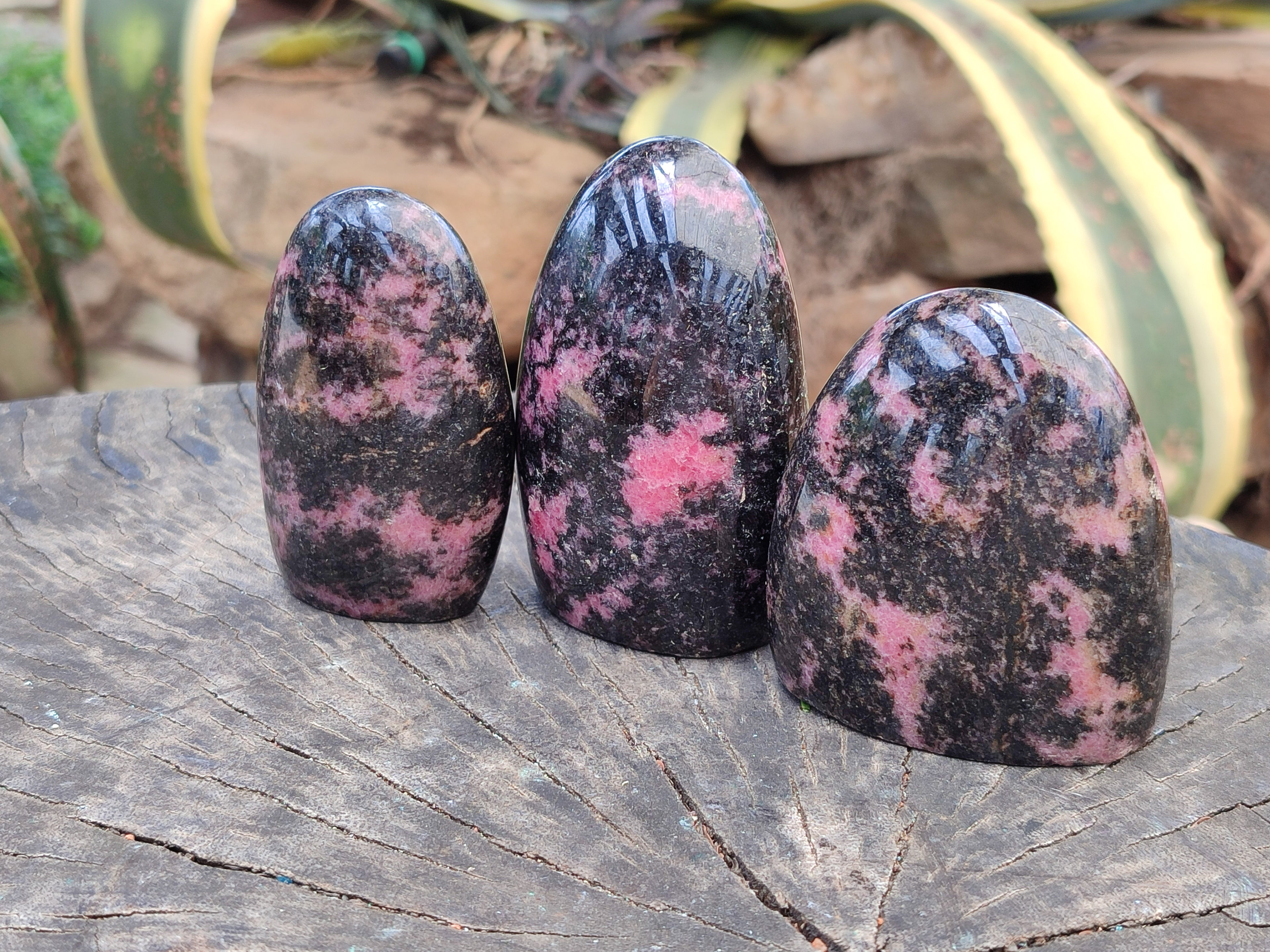 Polished Rhodonite Standing Free Forms x 6 From Ambindavato, Madagascar - Toprock Gemstones and Minerals 