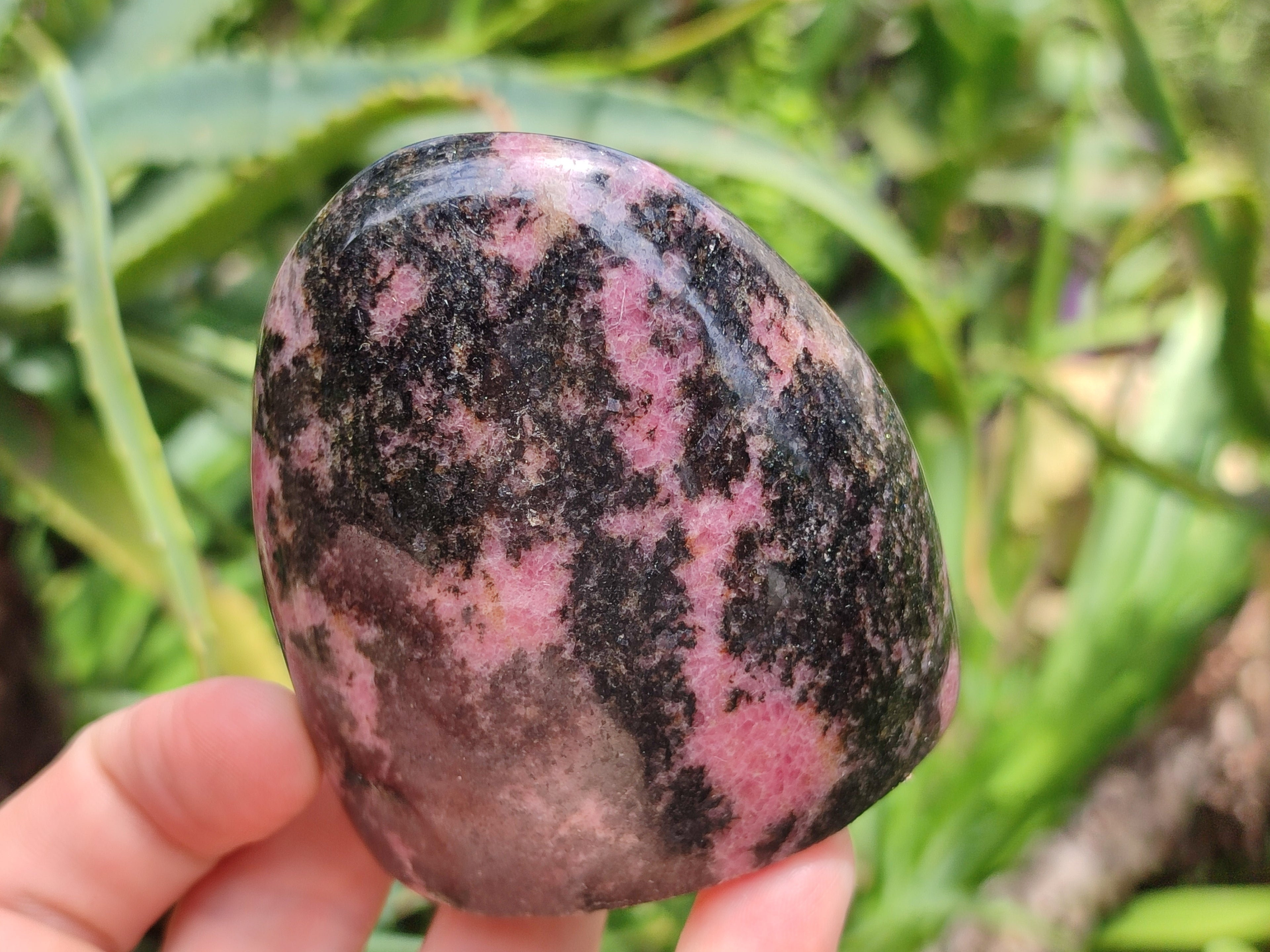 Polished Rhodonite Standing Free Forms x 6 From Ambindavato, Madagascar - Toprock Gemstones and Minerals 