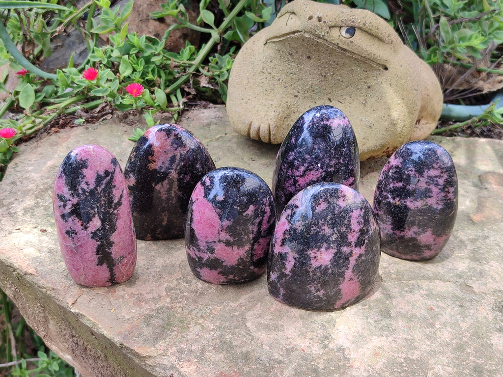 Polished Rhodonite Standing Free Forms x 6 From Ambindavato, Madagascar - Toprock Gemstones and Minerals 