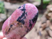 Polished Rhodonite Standing Free Forms x 6 From Ambindavato, Madagascar - Toprock Gemstones and Minerals 