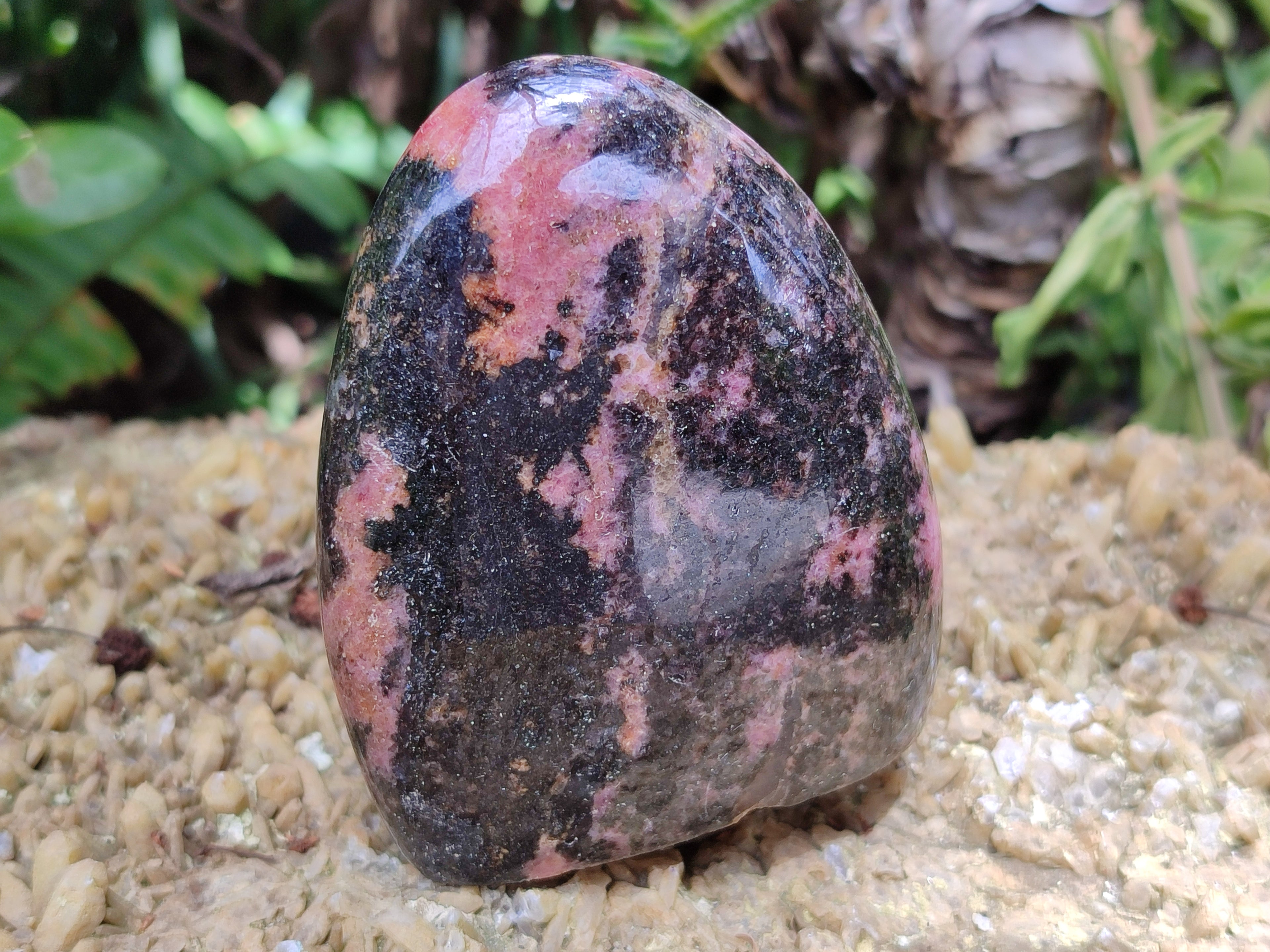 Polished Rhodonite Standing Free Forms x 6 From Ambindavato, Madagascar - Toprock Gemstones and Minerals 