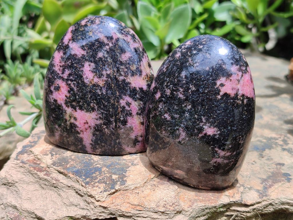 Polished Rhodonite Standing Free Forms x 6 From Ambindavato, Madagascar - Toprock Gemstones and Minerals 