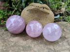 Polished Gemmy Rose Quartz Spheres x 3 From Madagascar - Toprock Gemstones and Minerals 