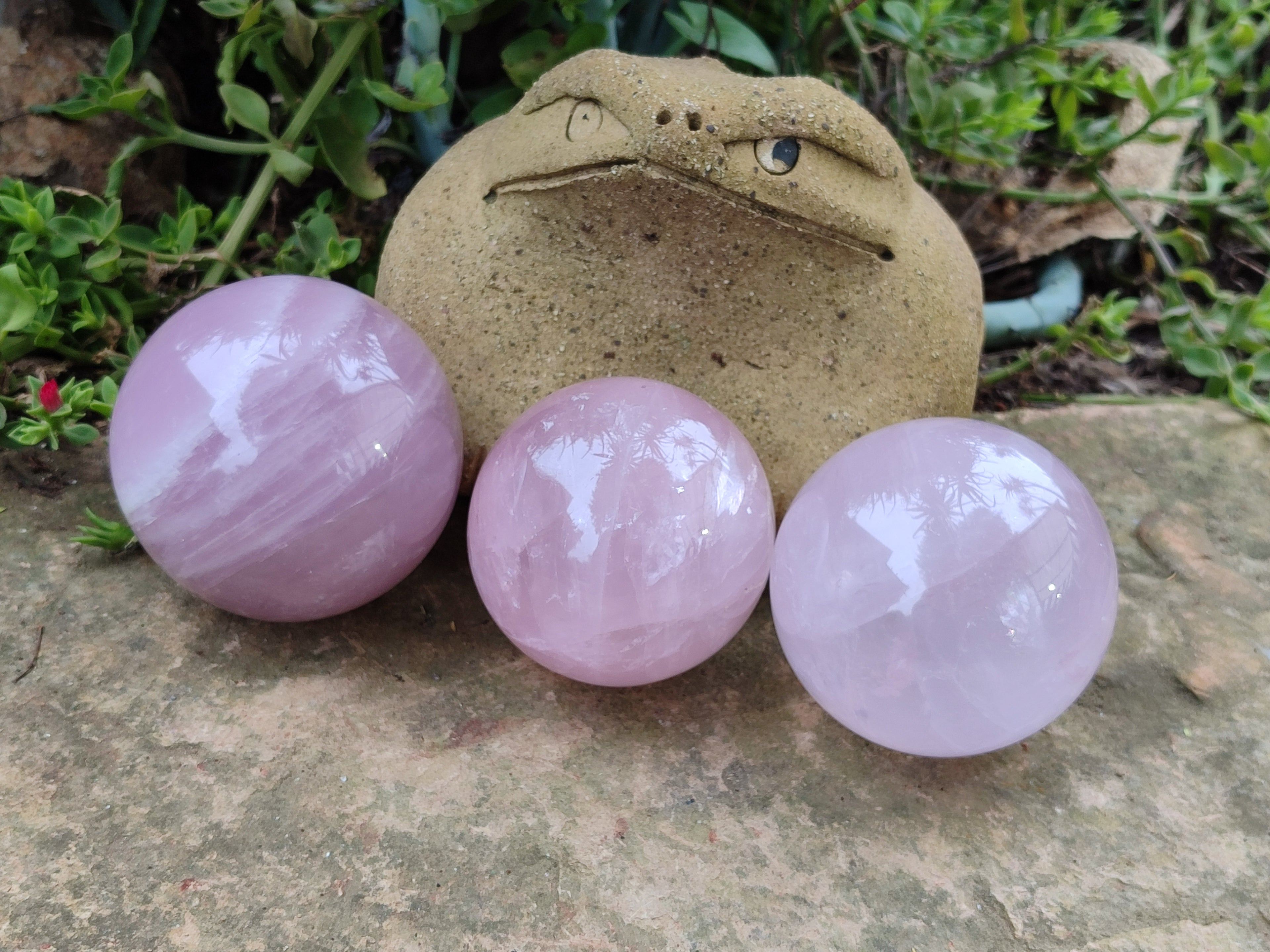 Polished Gemmy Rose Quartz Spheres x 3 From Madagascar - Toprock Gemstones and Minerals 