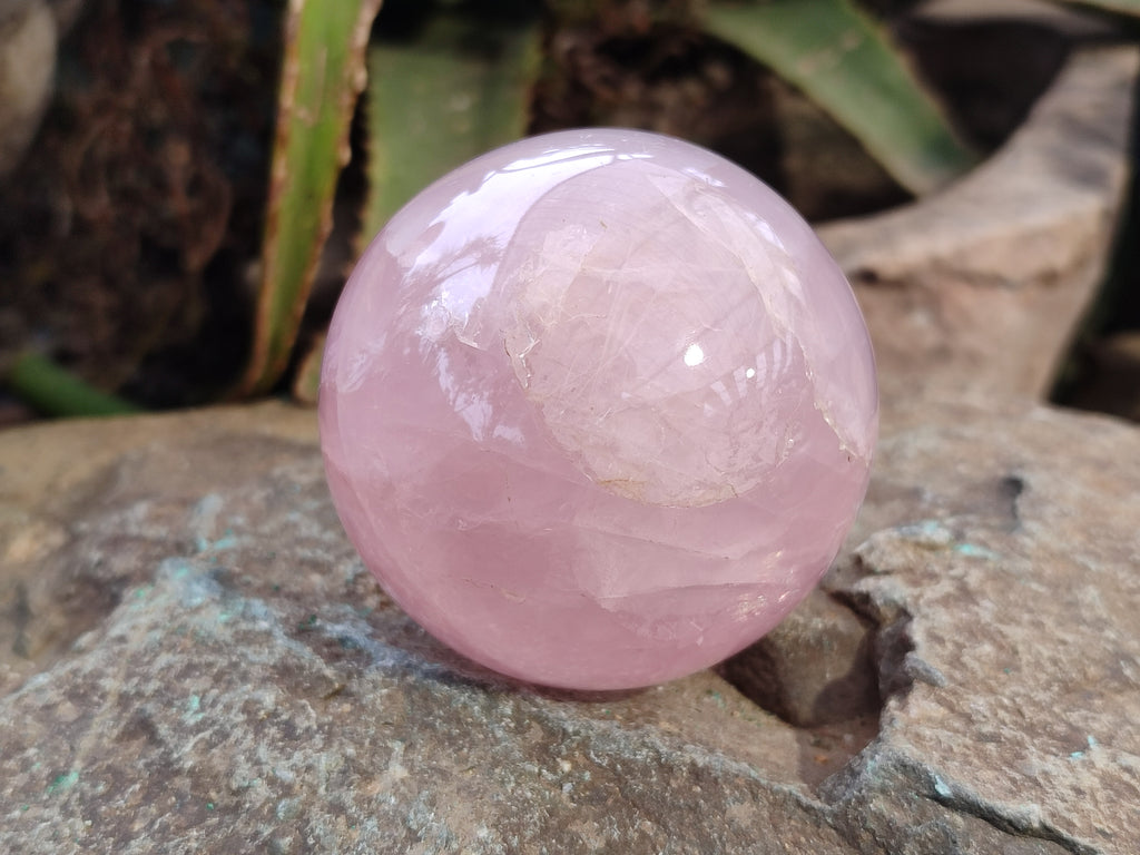 Polished Gemmy Rose Quartz Spheres x 3 From Madagascar - Toprock Gemstones and Minerals 