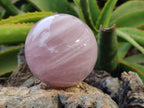 Polished Gemmy Rose Quartz Spheres x 3 From Madagascar - Toprock Gemstones and Minerals 
