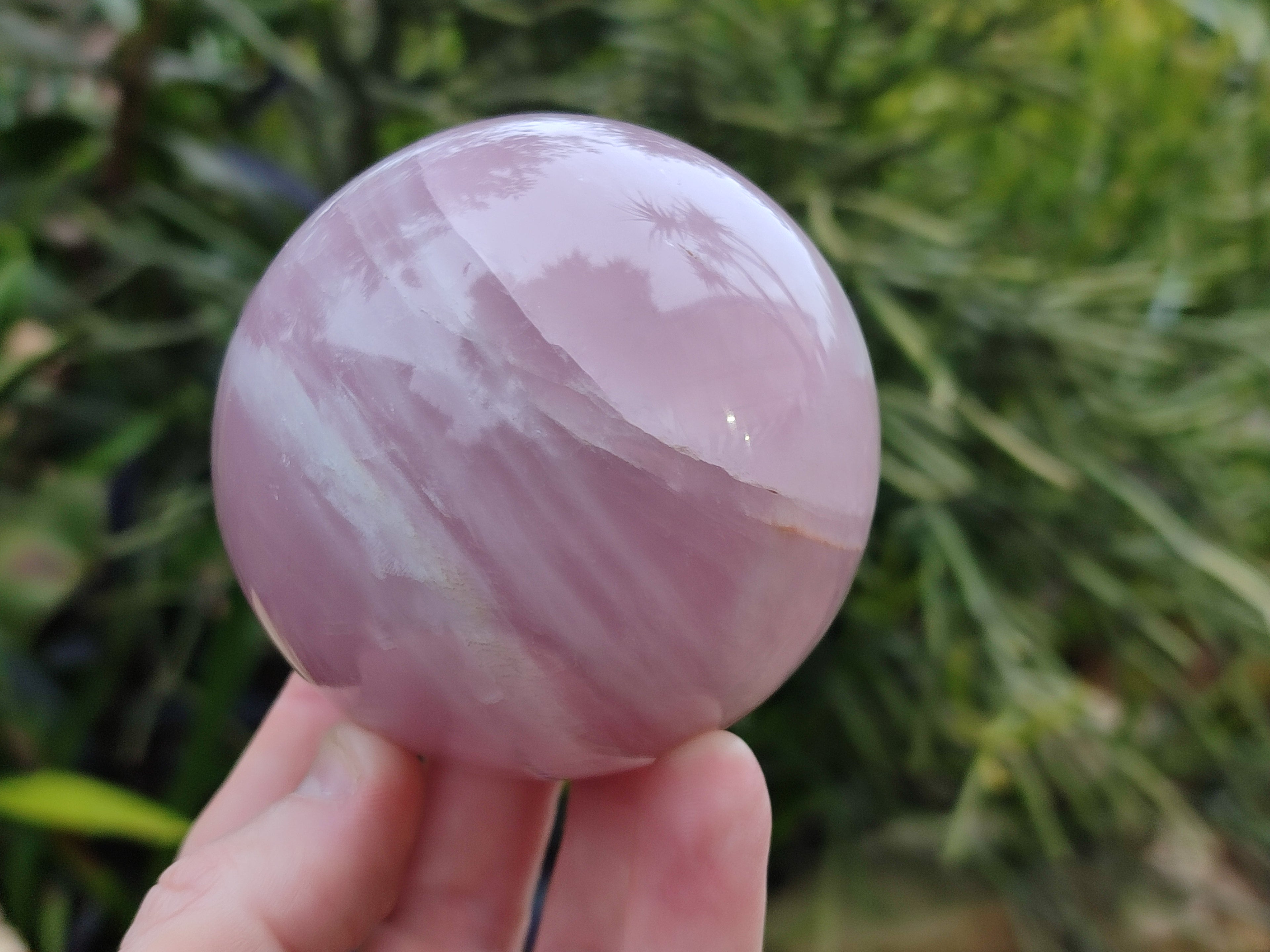Polished Gemmy Rose Quartz Spheres x 3 From Madagascar - Toprock Gemstones and Minerals 