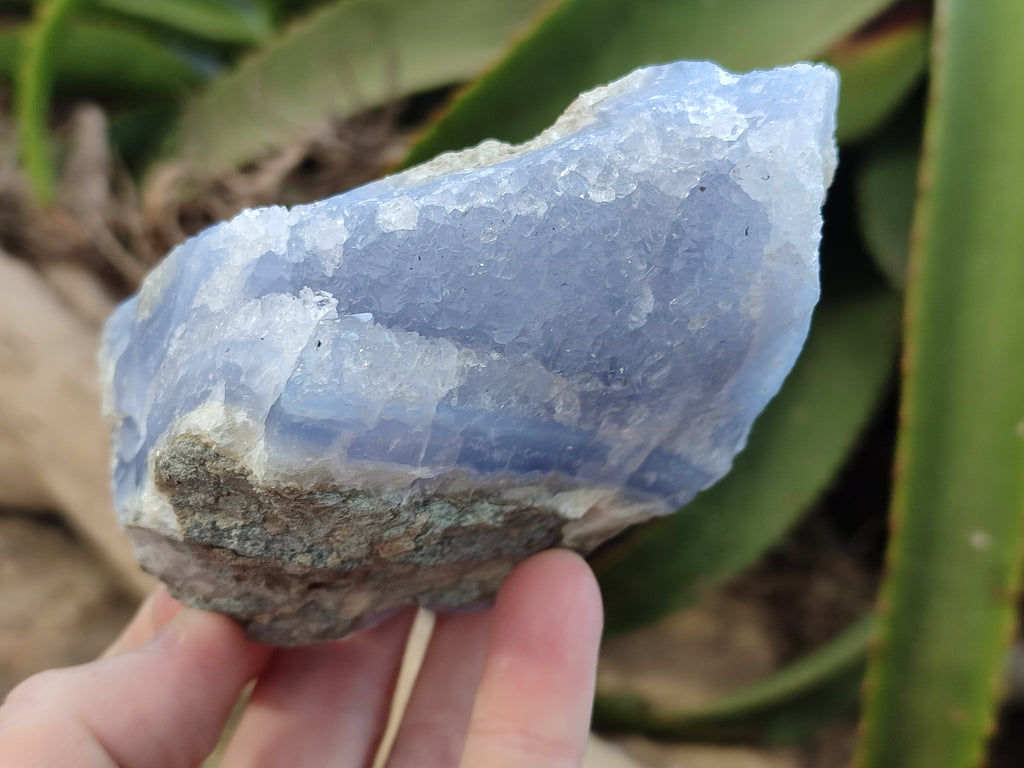 Natural Blue Lace Agate Geode Specimens x 6 From Malawi - Toprock Gemstones and Minerals 