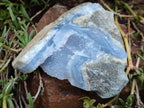 Natural Blue Lace Agate Geode Specimens x 6 From Malawi - Toprock Gemstones and Minerals 