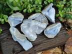 Natural Blue Lace Agate Geode Specimens x 6 From Malawi - Toprock Gemstones and Minerals 