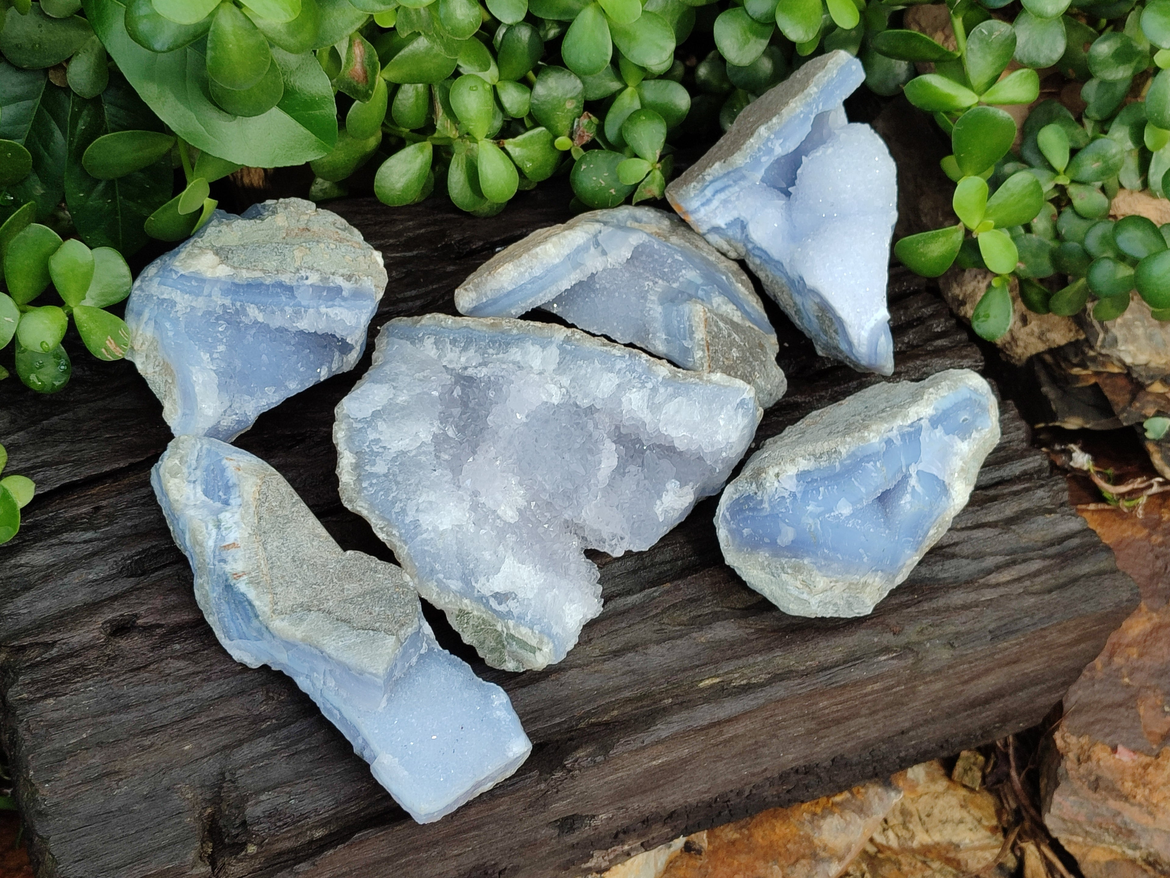 Natural Blue Lace Agate Geode Specimens x 6 From Malawi - Toprock Gemstones and Minerals 