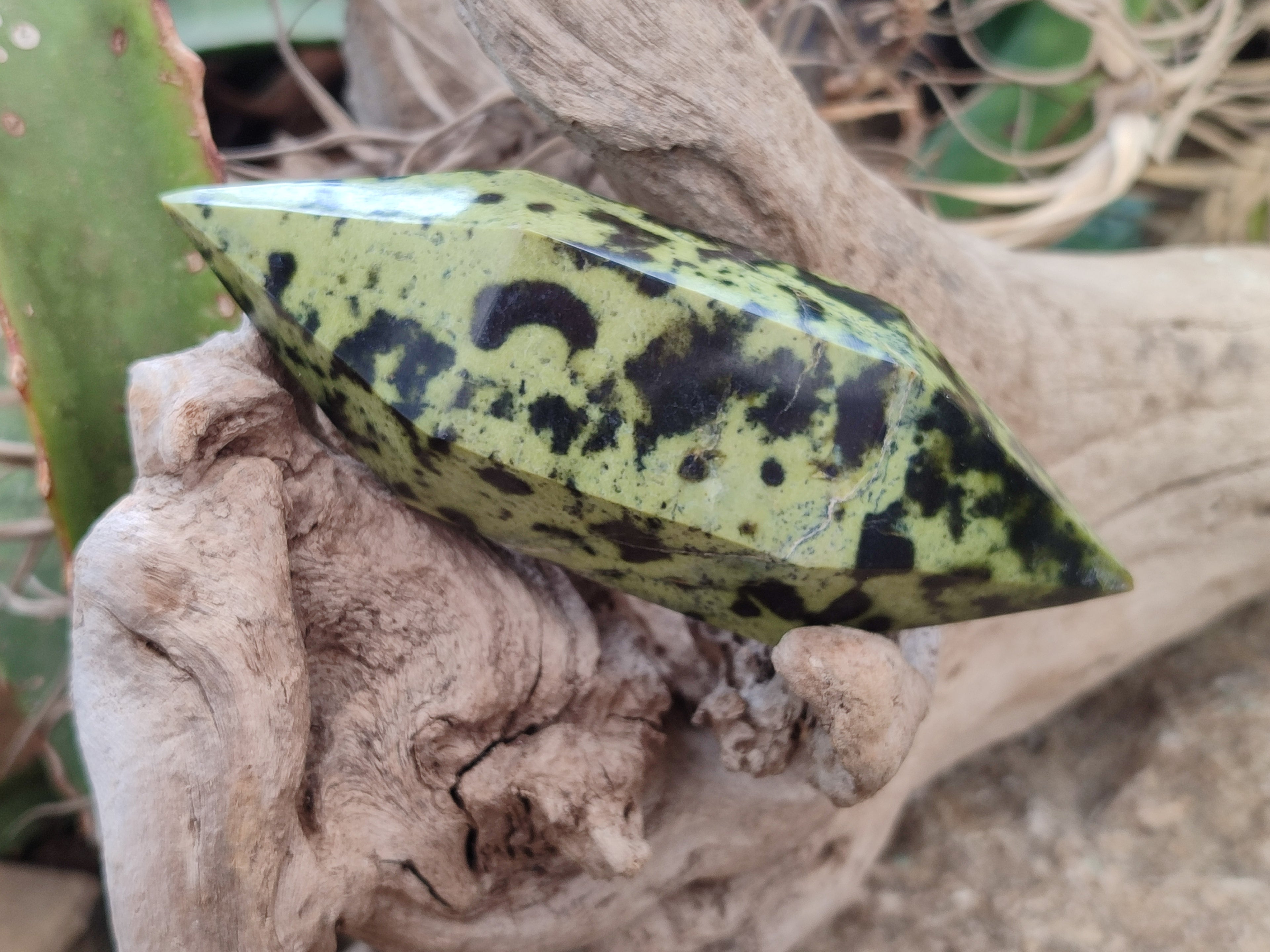 Polished Double Terminated Leopard Stone Points x 3 From Zimbabwe - Toprock Gemstones and Minerals 
