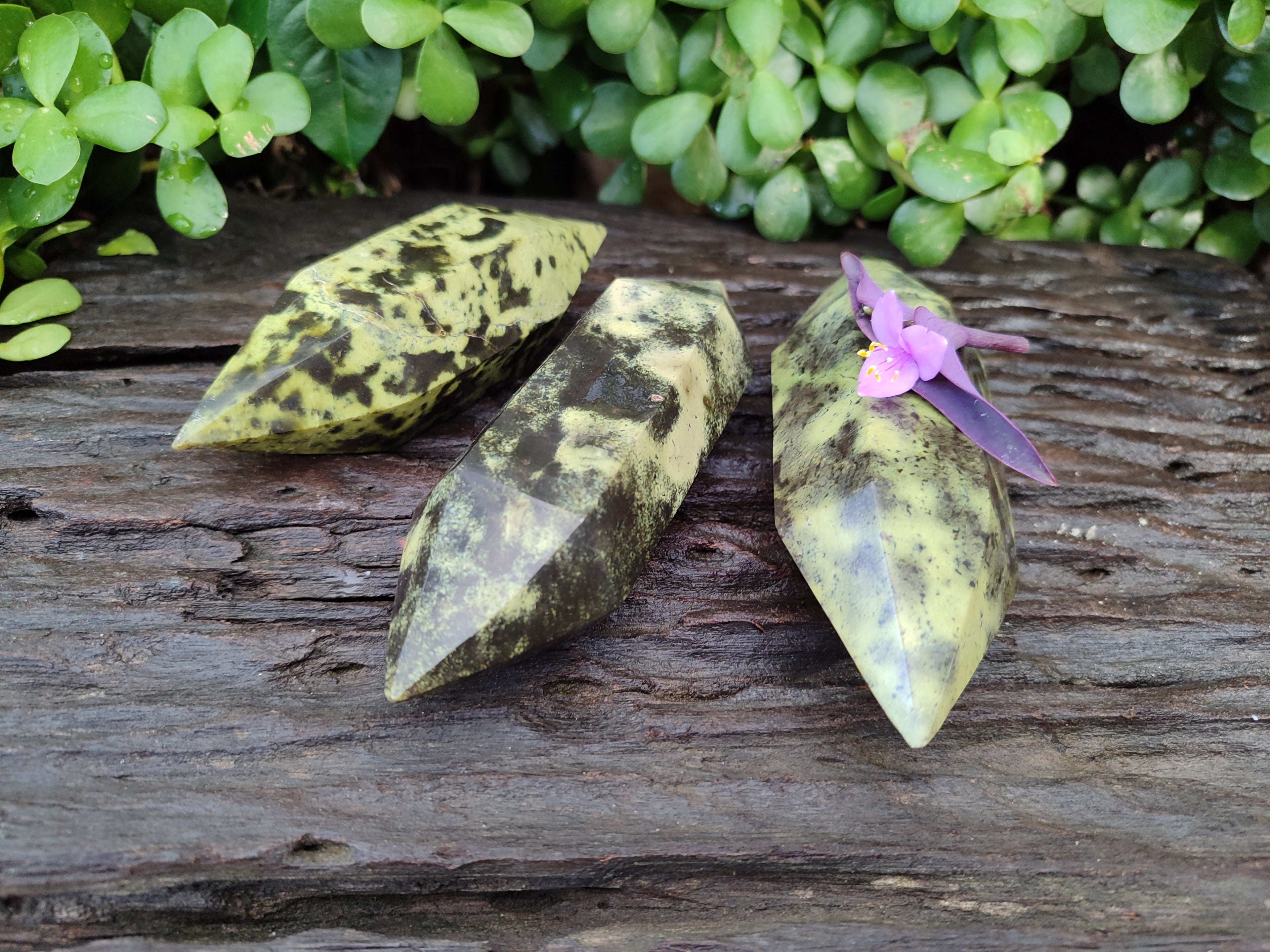 Polished Double Terminated Leopard Stone Points x 3 From Zimbabwe - Toprock Gemstones and Minerals 