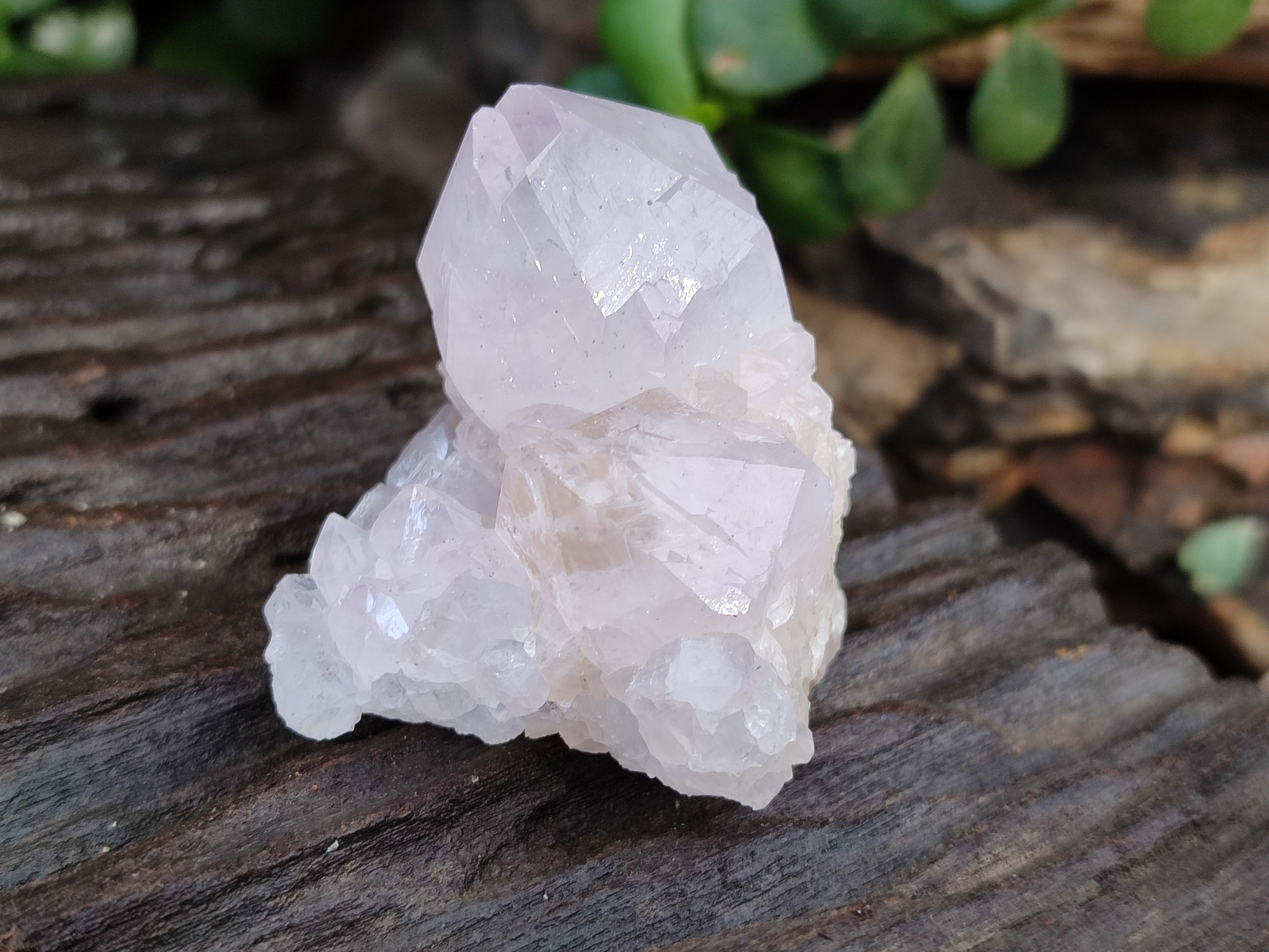 Natural Amethyst Cactus Spirit Quartz Clusters x 12 From Boekenhouthoek, South Africa - Toprock Gemstones and Minerals 