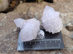 Natural Amethyst Cactus Spirit Quartz Clusters x 12 From Boekenhouthoek, South Africa - Toprock Gemstones and Minerals 