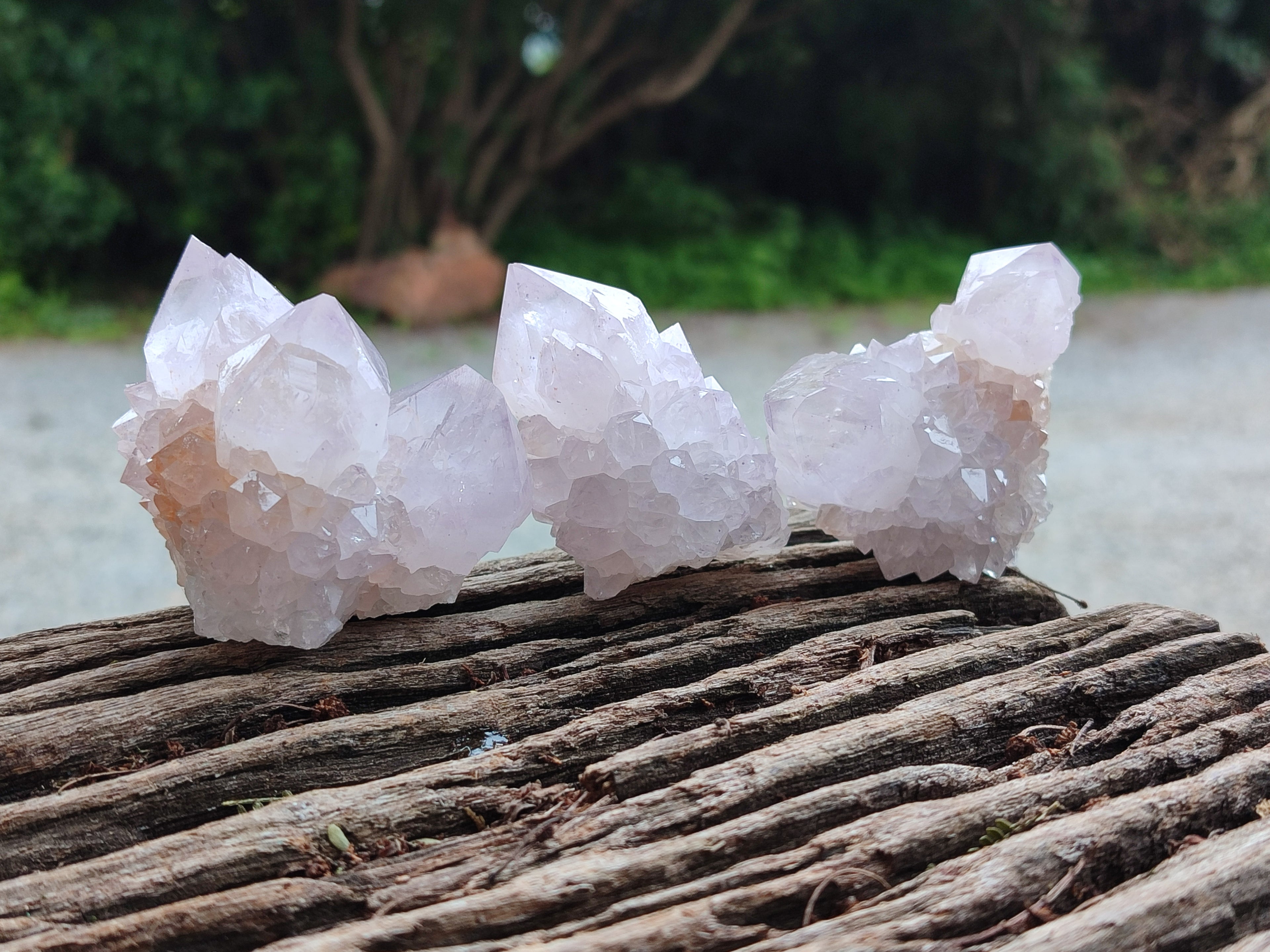 Natural Amethyst Cactus Spirit Quartz Clusters x 12 From Boekenhouthoek, South Africa - Toprock Gemstones and Minerals 