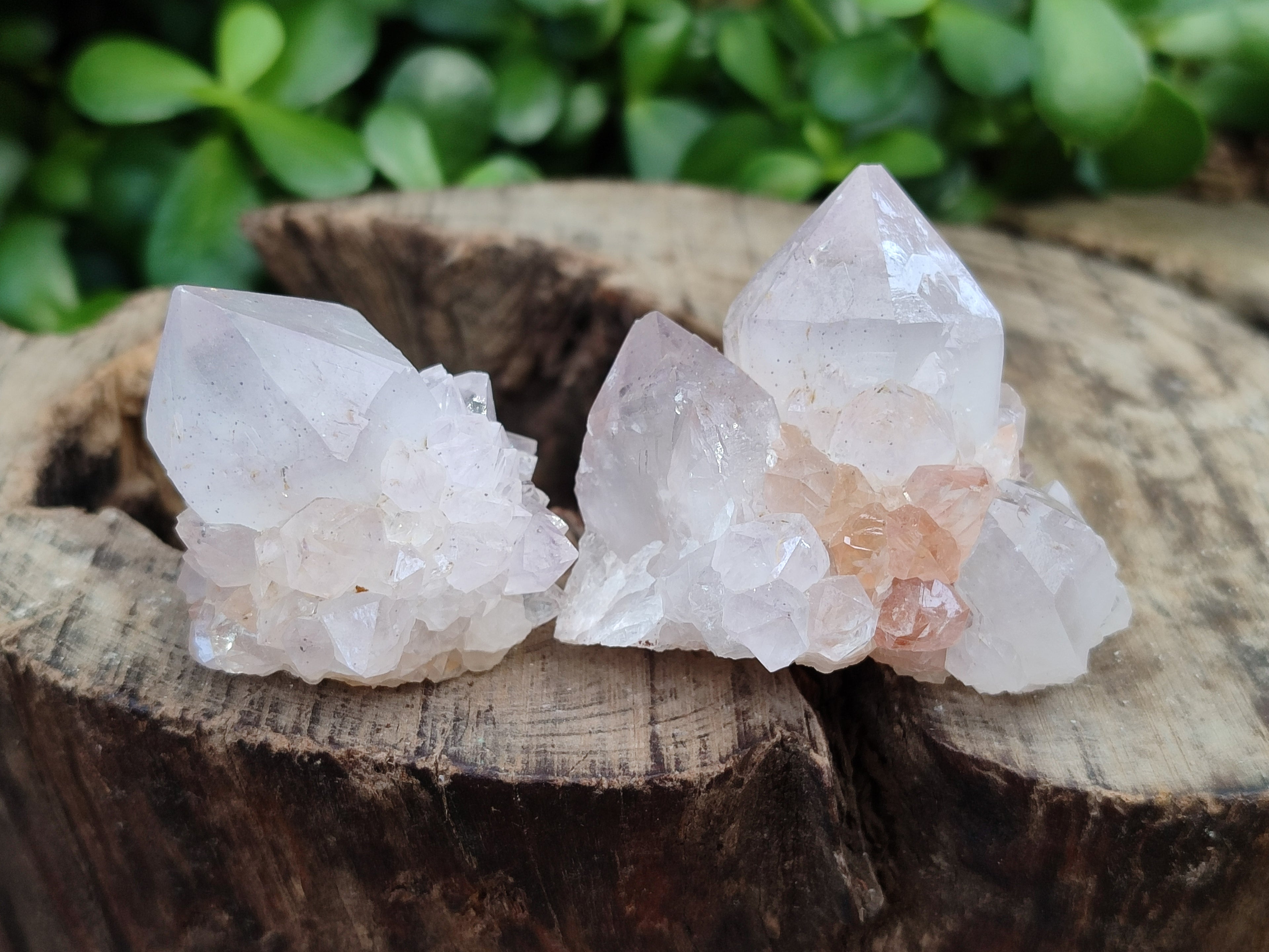 Natural Amethyst Cactus Spirit Quartz Clusters x 12 From Boekenhouthoek, South Africa - Toprock Gemstones and Minerals 