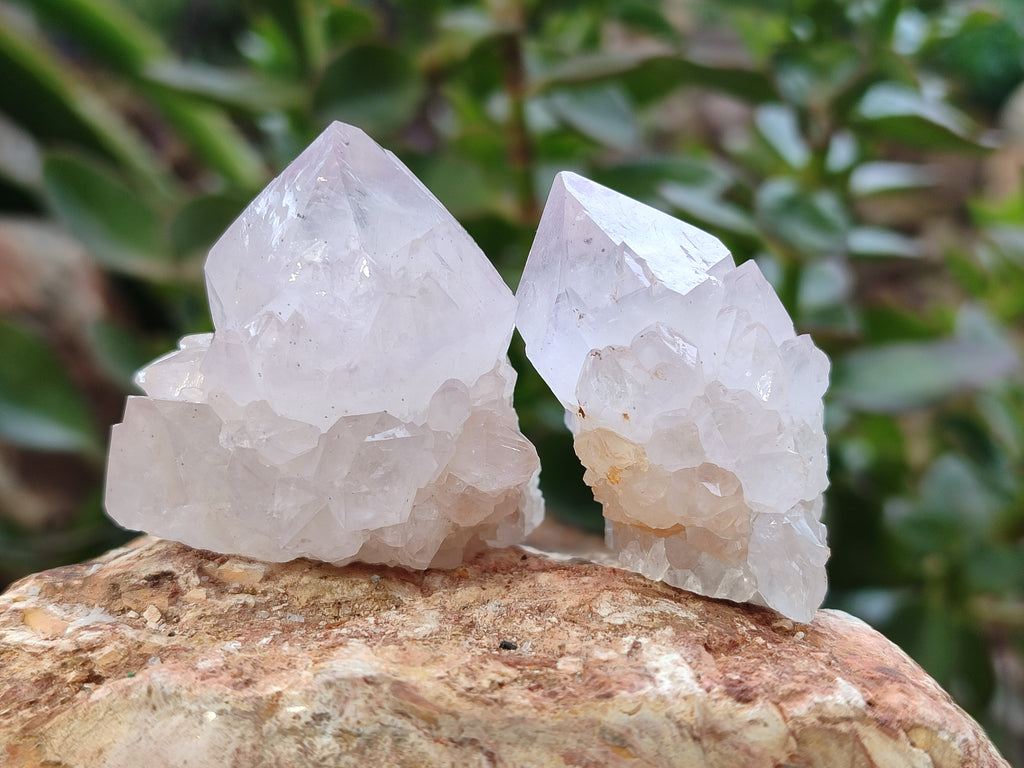 Natural Amethyst Cactus Spirit Quartz Clusters x 12 From Boekenhouthoek, South Africa - Toprock Gemstones and Minerals 