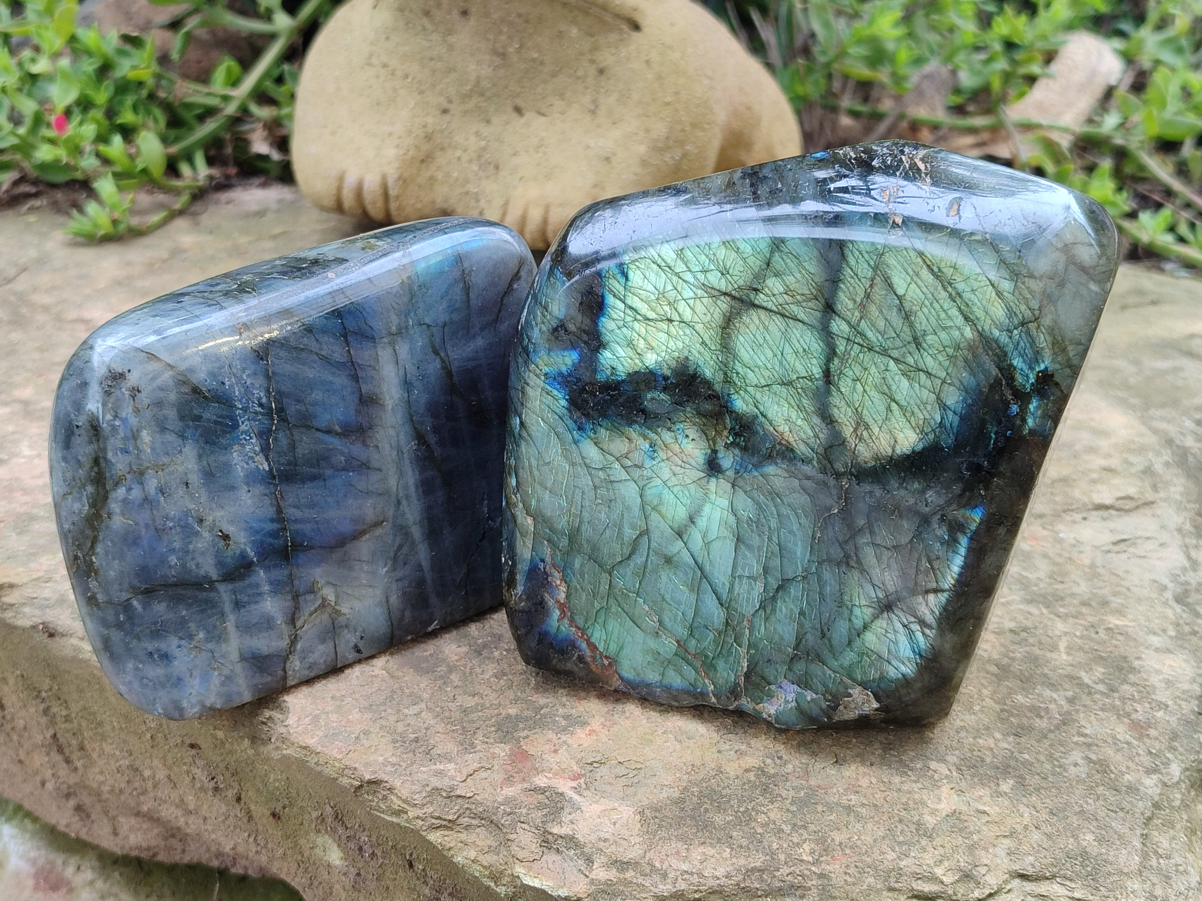 Polished Labradorite Standing Free Forms x 2 From Tulear, Madagascar - Toprock Gemstones and Minerals 
