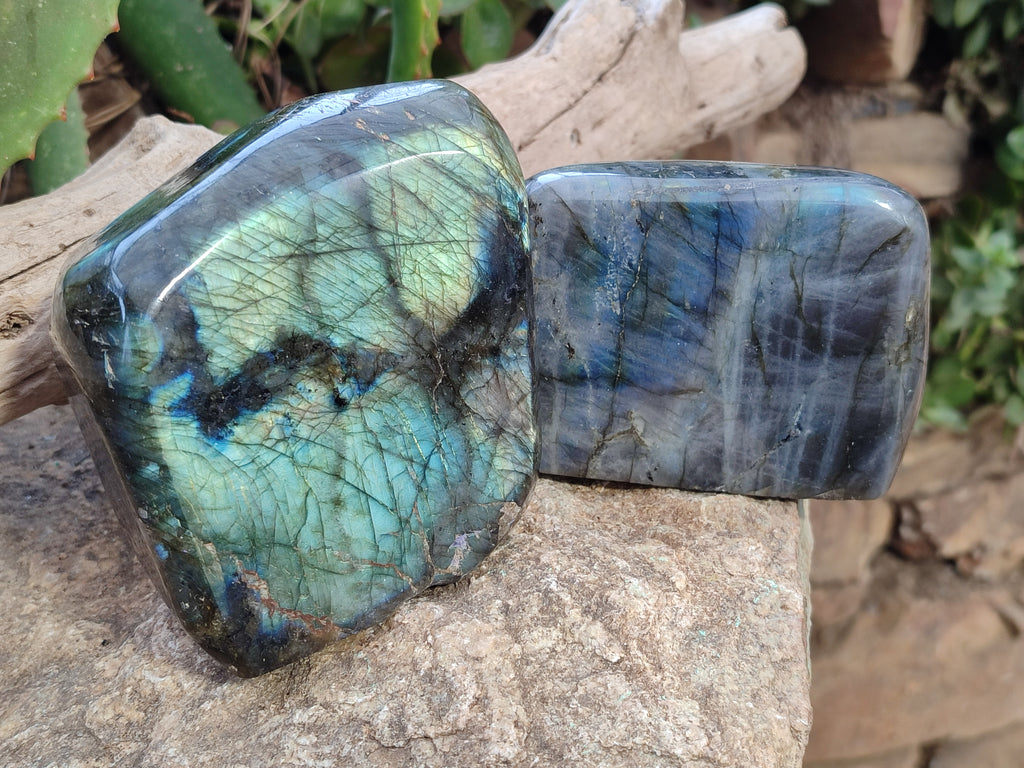 Polished Labradorite Standing Free Forms x 2 From Tulear, Madagascar - Toprock Gemstones and Minerals 