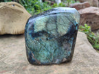 Polished Labradorite Standing Free Forms x 2 From Tulear, Madagascar - Toprock Gemstones and Minerals 