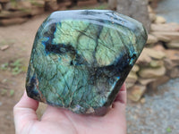Polished Labradorite Standing Free Forms x 2 From Tulear, Madagascar - Toprock Gemstones and Minerals 