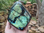 Polished Labradorite Standing Free Forms x 2 From Tulear, Madagascar - Toprock Gemstones and Minerals 