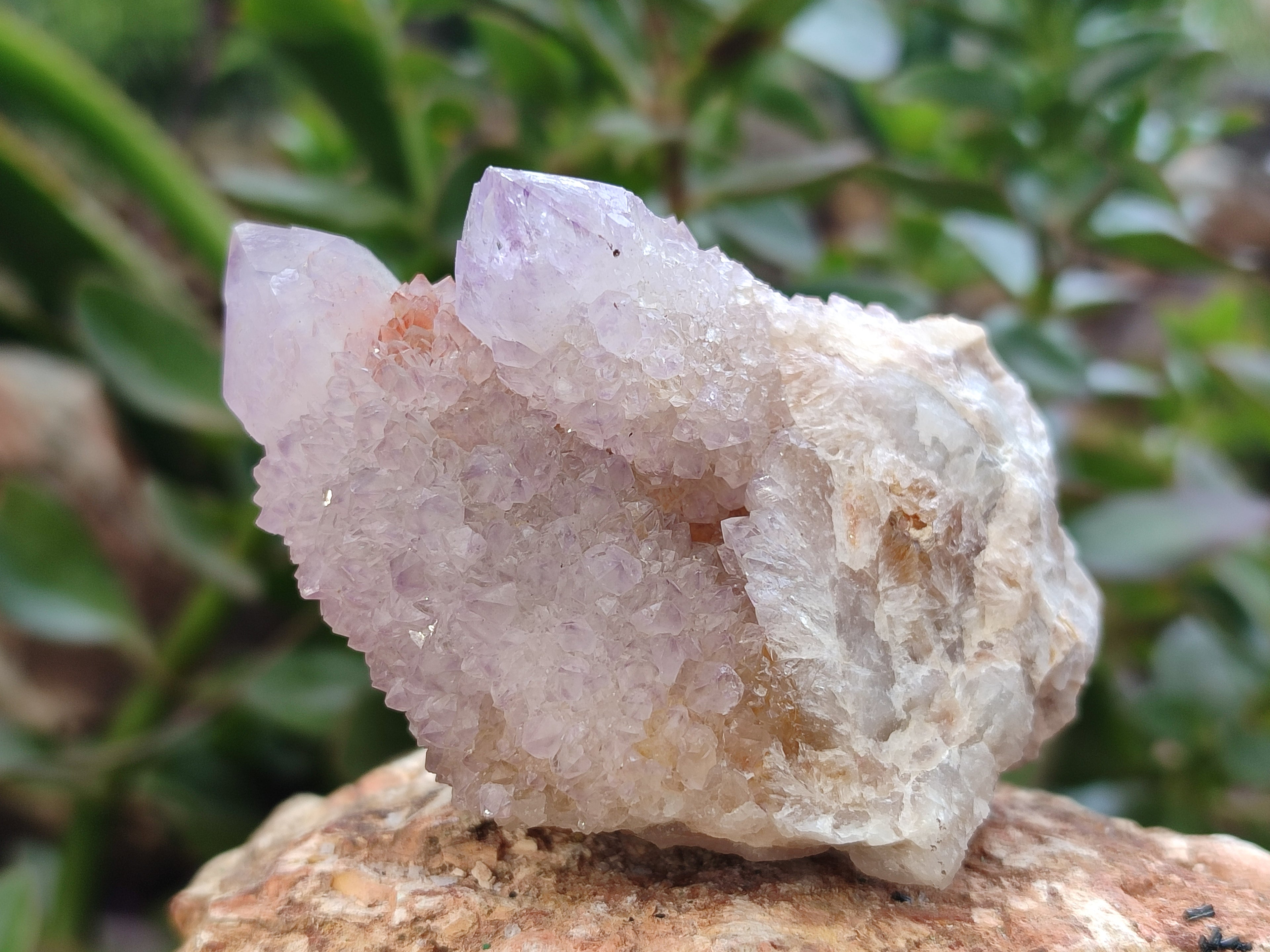 Natural Amethyst Spirit Quartz Clusters x 6 From Boekenhouthoek, South Africa - Toprock Gemstones and Minerals 