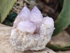 Natural Amethyst Spirit Quartz Clusters x 6 From Boekenhouthoek, South Africa - Toprock Gemstones and Minerals 