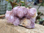 Natural Amethyst Spirit Quartz Clusters x 6 From Boekenhouthoek, South Africa - Toprock Gemstones and Minerals 