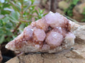 Natural Amethyst Spirit Quartz Clusters x 6 From Boekenhouthoek, South Africa - Toprock Gemstones and Minerals 