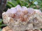 Natural Amethyst Spirit Quartz Clusters x 6 From Boekenhouthoek, South Africa - Toprock Gemstones and Minerals 