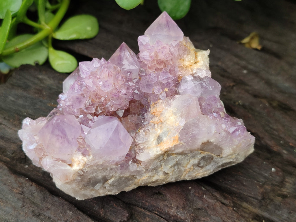 Natural Amethyst Spirit Quartz Clusters x 6 From Boekenhouthoek, South Africa - Toprock Gemstones and Minerals 