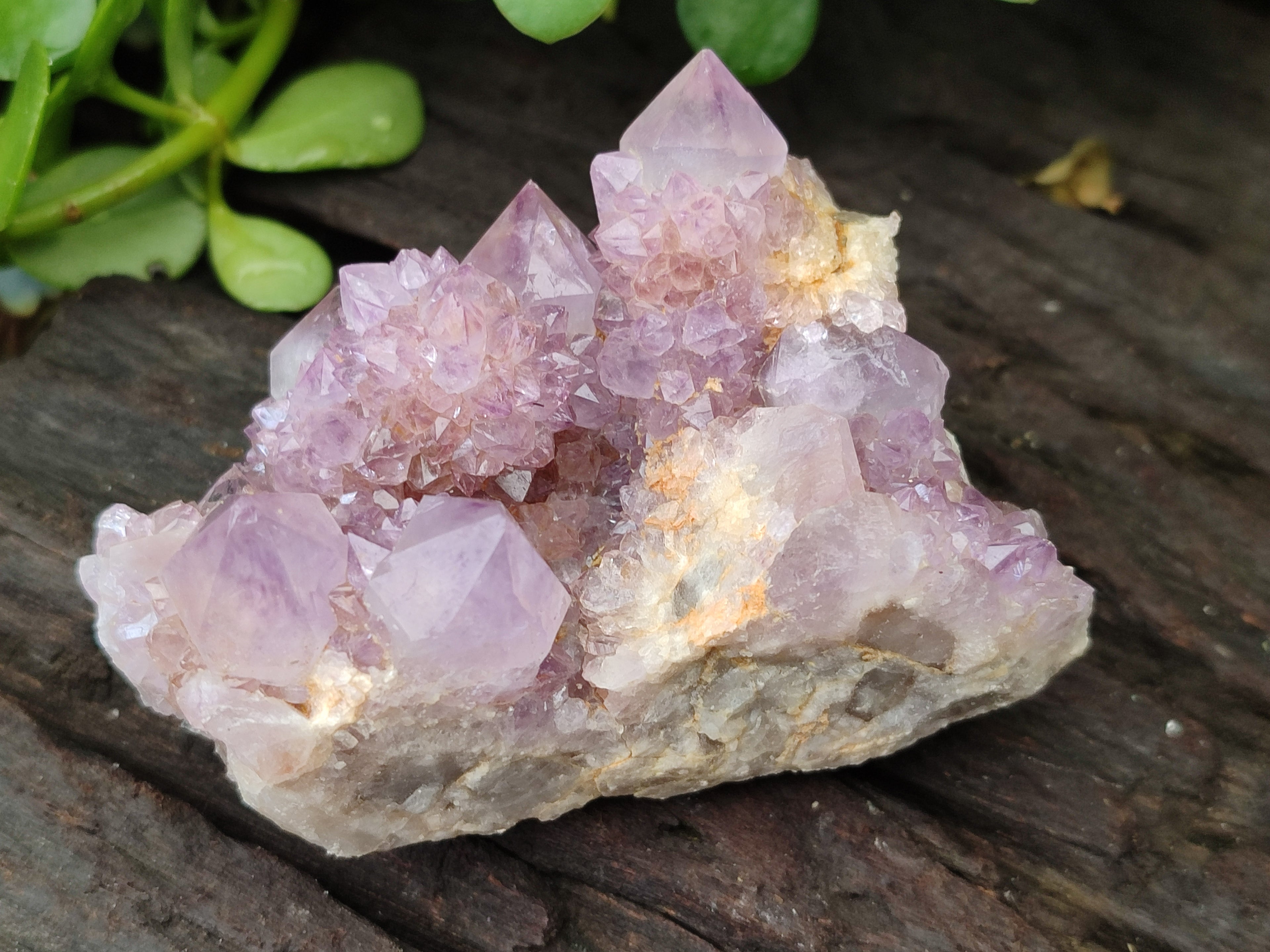 Natural Amethyst Spirit Quartz Clusters x 6 From Boekenhouthoek, South Africa - Toprock Gemstones and Minerals 