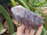 Polished Lepidolite with Pink Rubellite Points x 2 From Ambatondrazaka, Madagascar - Toprock Gemstones and Minerals 