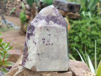 Polished Lepidolite with Pink Rubellite Points x 2 From Ambatondrazaka, Madagascar - Toprock Gemstones and Minerals 