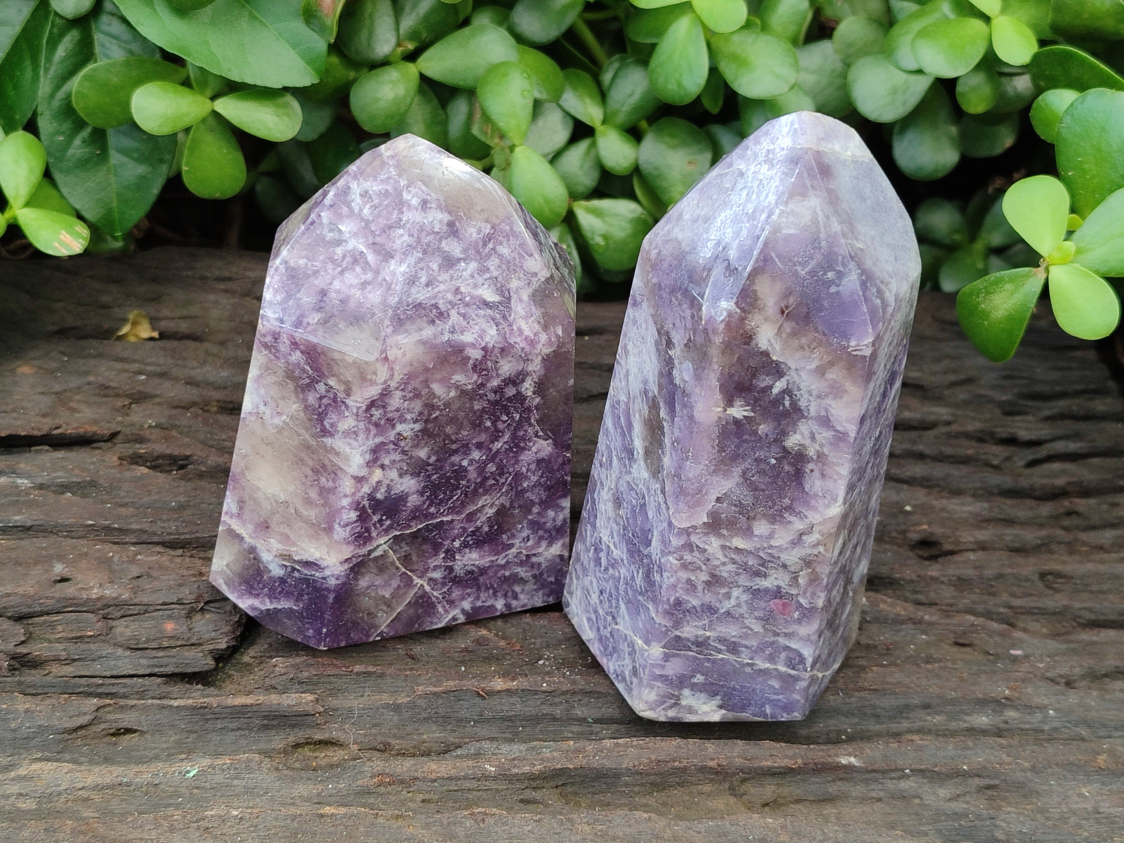 Polished Lepidolite with Pink Rubellite Points x 2 From Ambatondrazaka, Madagascar - Toprock Gemstones and Minerals 